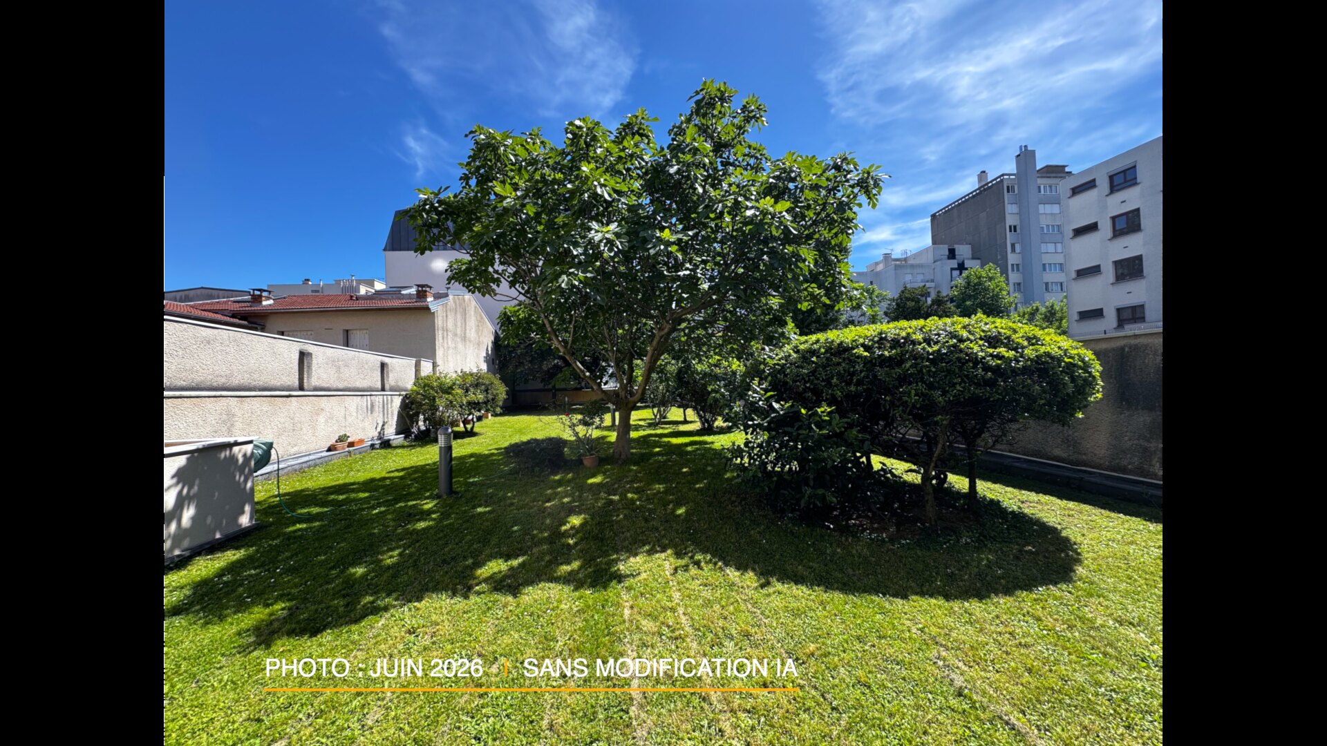 Jardin paysager avec figuier